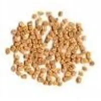 Fenugreek seed